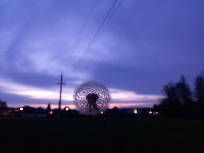 Young at Art - Lisa aus Braunau