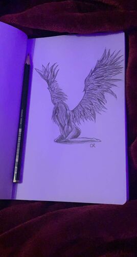 Young at Art - Chiara aus Grieskirchen