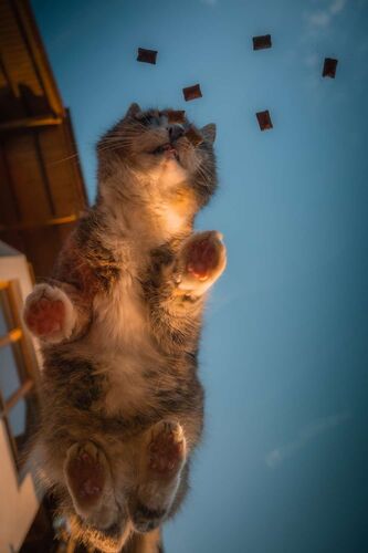 Young at Art - Richard aus Perg