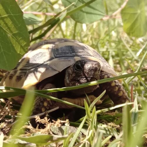 Young at Art - Simon aus Linz-Land