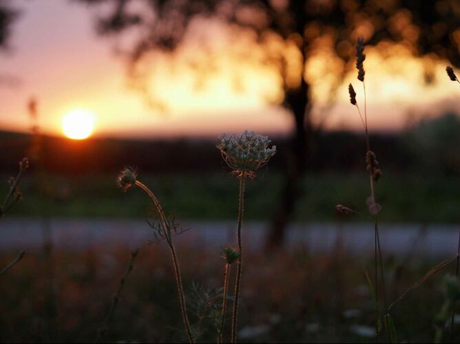 Young at Art - Eva  aus Steyr