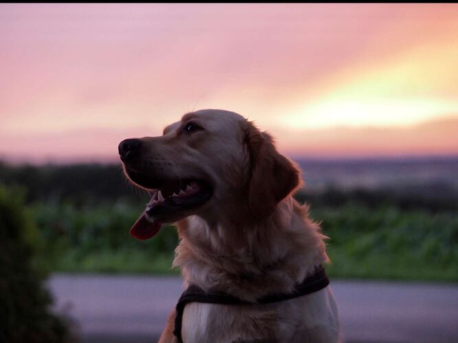 Young at Art - Eva  aus Steyr