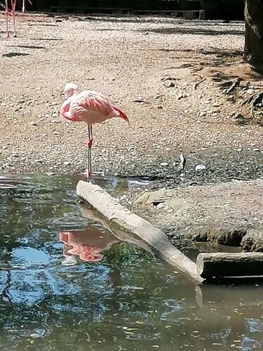 Young at Art - Bogdan aus Perg