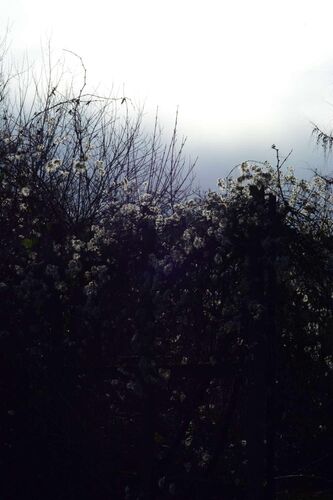 Young at Art - Michaela aus Gmunden