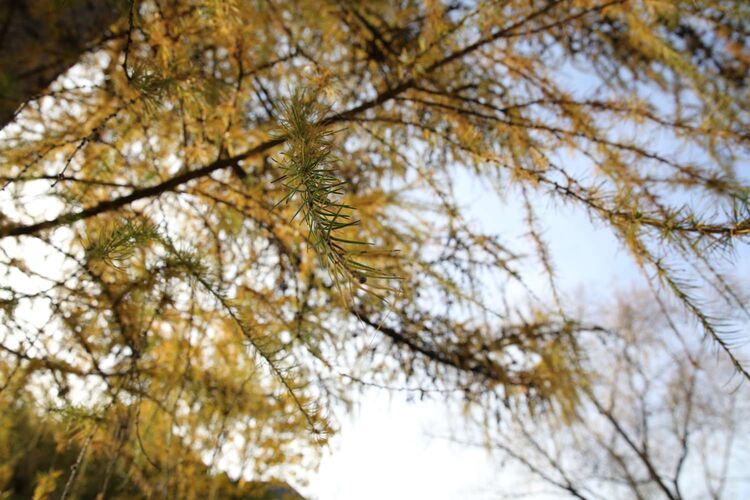 Young at Art - Michaela aus Gmunden