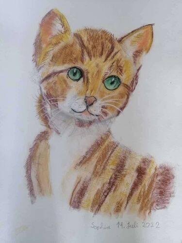 Young at Art - Sophia aus Eferding