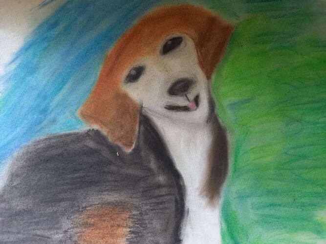 Young at Art - Tomandl  aus Schärding