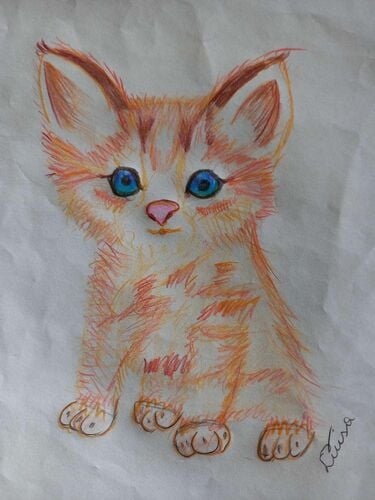 Young at Art - Tomandl  aus Schärding