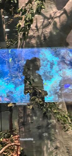 Young at Art - Theresa aus Linz