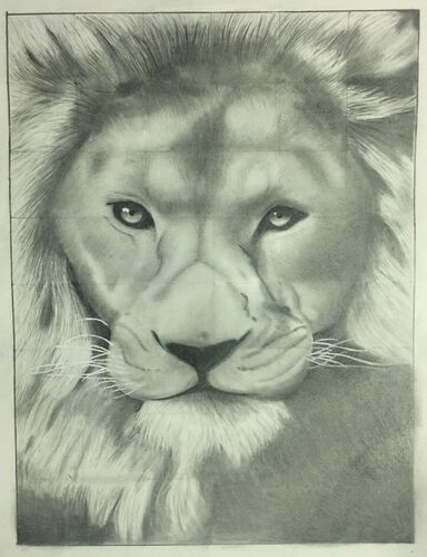 Young at Art - Valentina aus Eferding