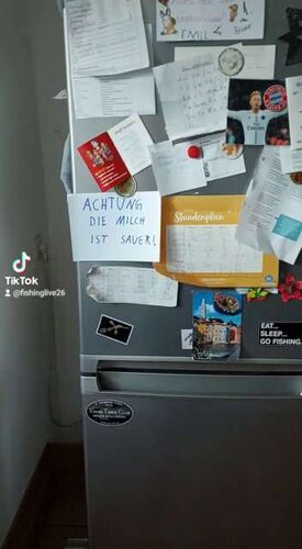 Young at Art - Maximilian aus Rohrbach