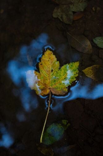 Young at Art - Clara aus Kirchdorf