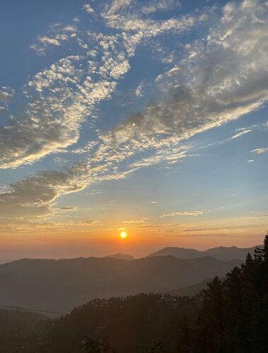 Young at Art - Laila aus Steyr