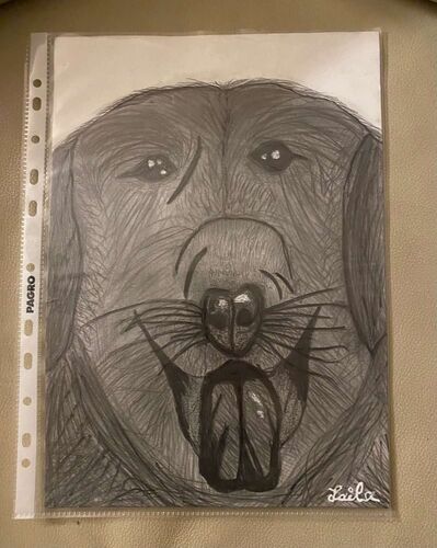 Young at Art - Laila aus Steyr