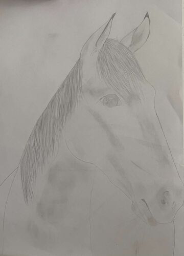 Young at Art - Helena aus Ried