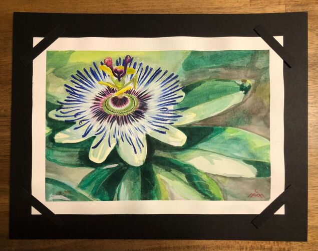 Young at Art - Mira aus Eferding