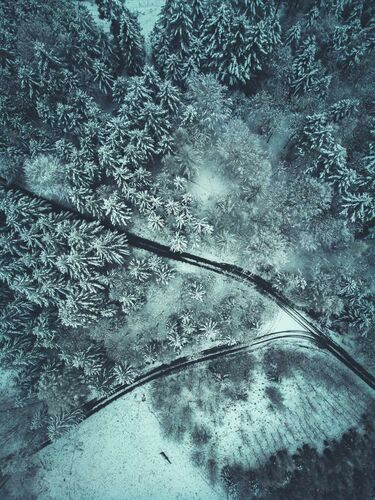 Young at Art - Tobias aus Eferding