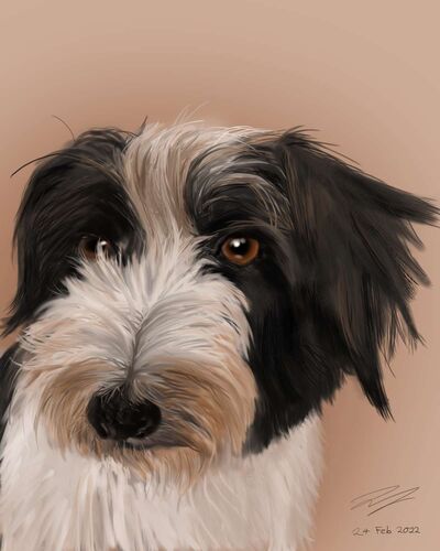 Young at Art - Julia aus Ried