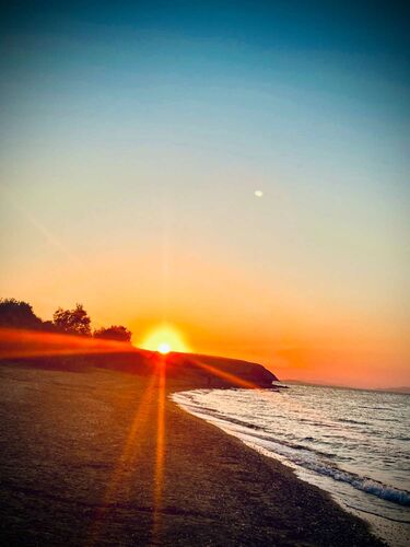 Young at Art - Sophia aus Gmunden