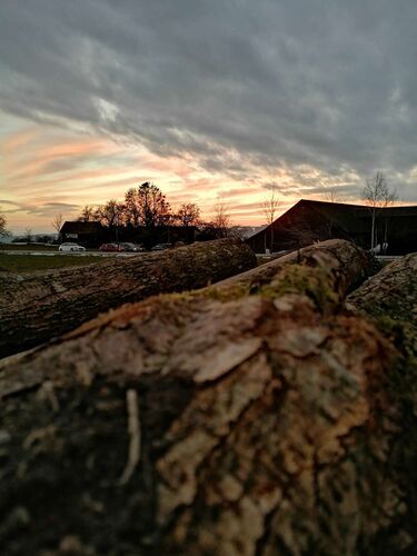 Young at Art - Nicole  aus Rohrbach