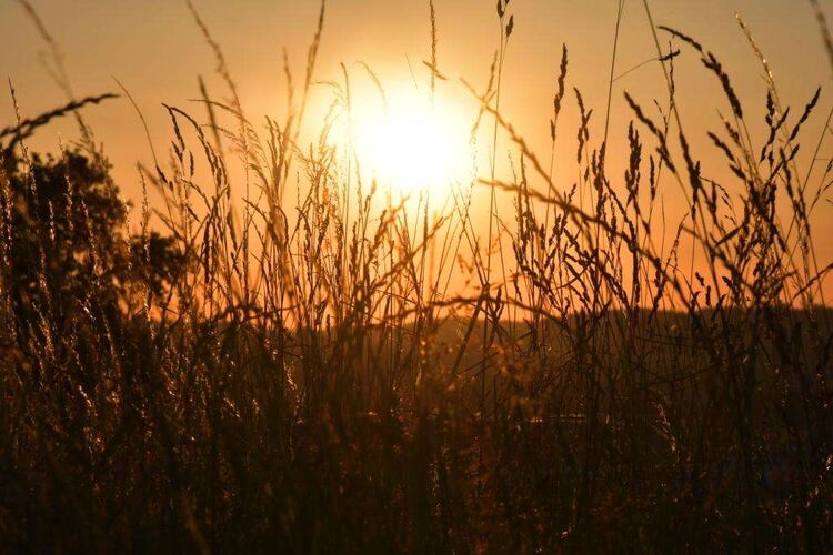 Young at Art - Leo aus Grieskirchen