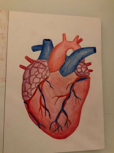 Young at Art - Katharina aus Wels