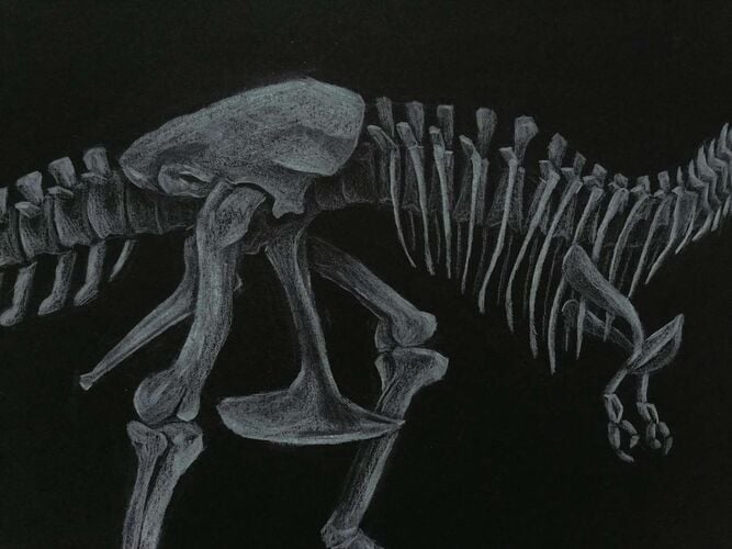 Young at Art - Aleksa aus Braunau