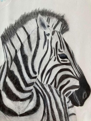 Young at Art - Marlene aus Vöcklabruck