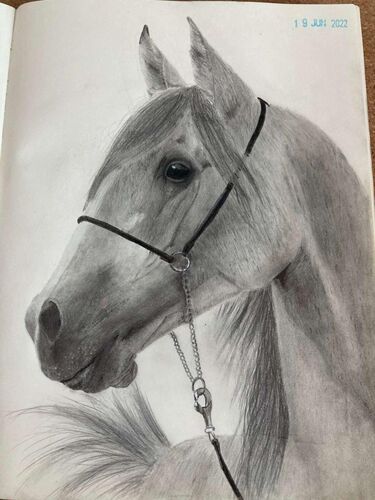 Young at Art - Marlene aus Vöcklabruck