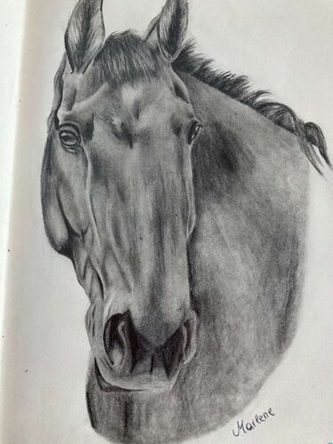 Young at Art - Marlene aus Vöcklabruck