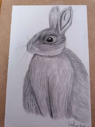 Young at Art - Nadine aus Rohrbach