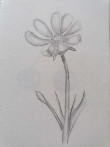 Young at Art - Nadine aus Rohrbach