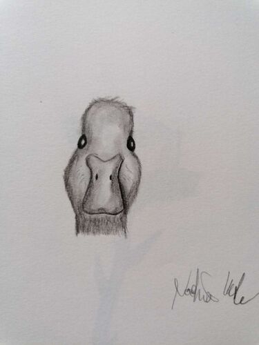 Young at Art - Nadine aus Rohrbach