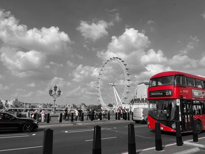 Young at Art - Sophie aus Linz-Land