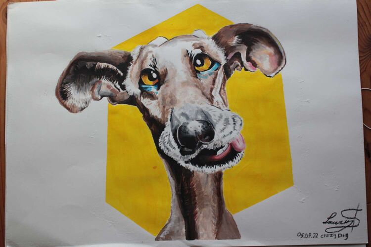 Young at Art - Laurin aus Ried