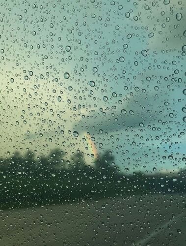 Young at Art - Fiona aus Steyr