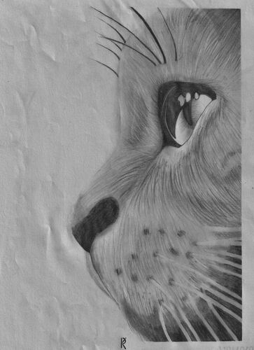 Young at Art - Karolina aus Vöcklabruck