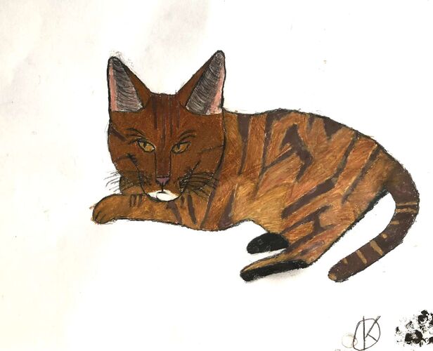 Young at Art - Oskar aus Linz