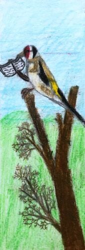 Young at Art - Oskar aus Linz