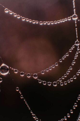 Young at Art - Clara aus Kirchdorf