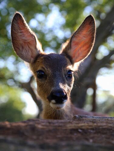 Young at Art - Lea aus Linz-Land