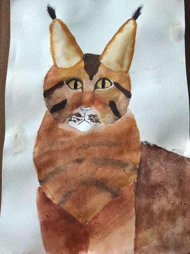 Young at Art - Sophie  aus Linz-Land