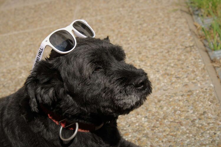 Young at Art - Sarah aus Freistadt