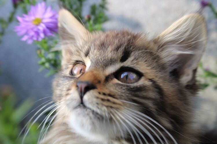 Young at Art - Sarah aus Freistadt