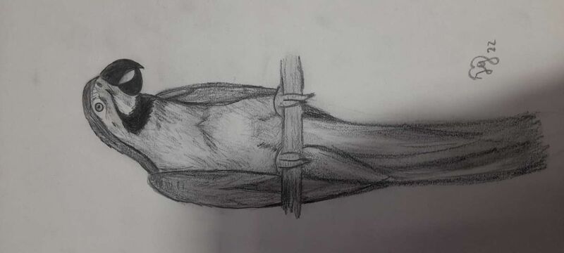 Young at Art - Johanna aus Steyr