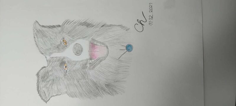 Young at Art - Chiara aus Linz