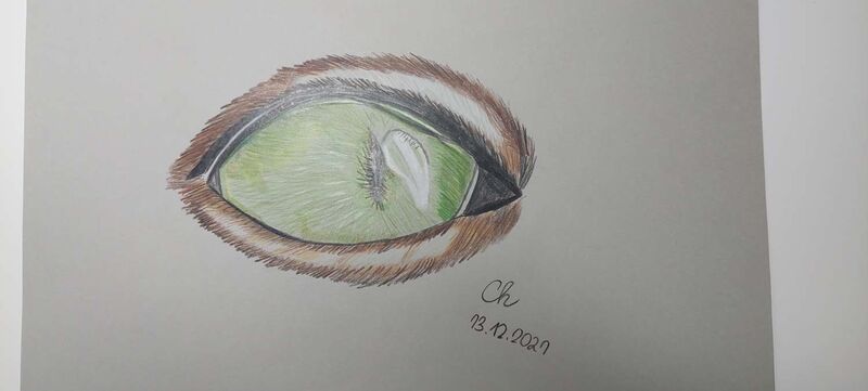 Young at Art - Chiara aus Linz