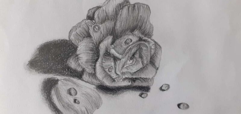 Young at Art - Elena aus Urfahr-Umgebung