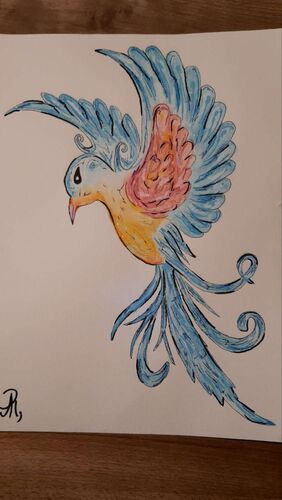 Young at Art - Anna aus Kirchdorf