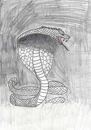 Young at Art - Jonas  aus Kirchdorf